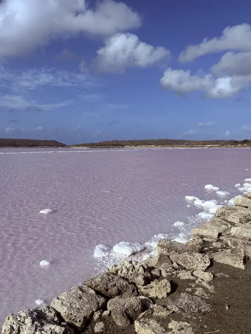Salt pans of Jan Thiel