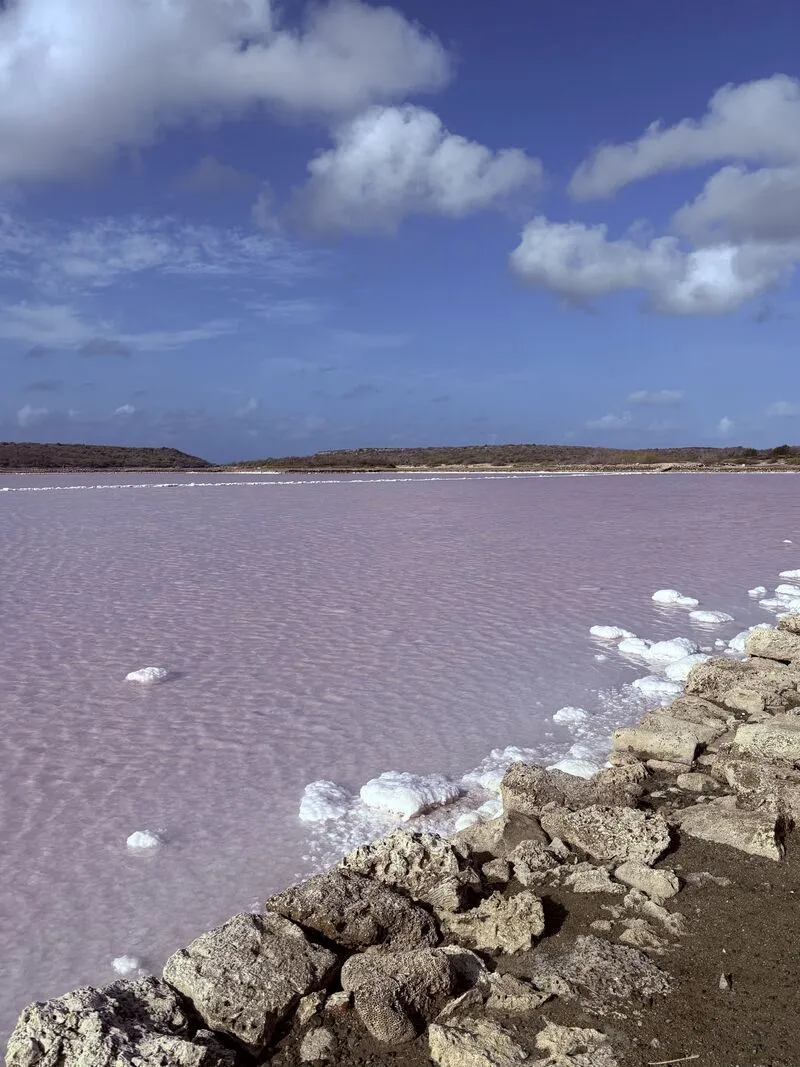 Salt pans of Jan Thiel