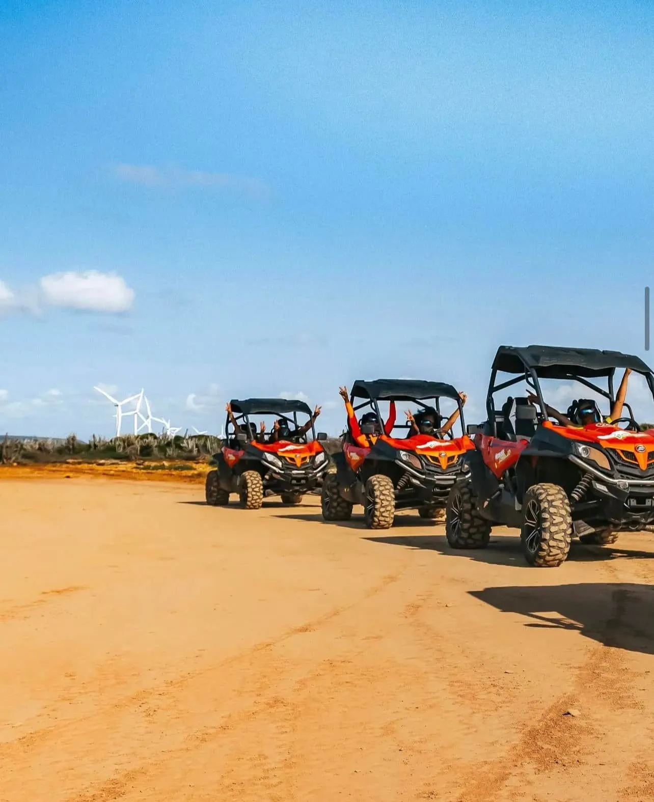 Buggy tours
